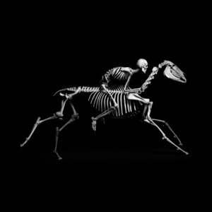 horse and rider skeleton.jpg
