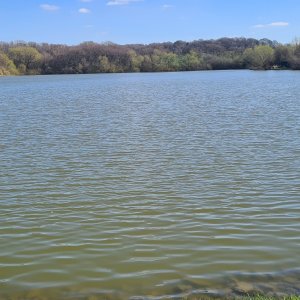 local fishing lake