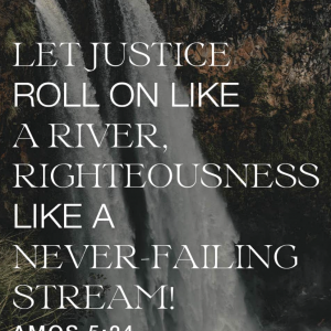 IMG_4091.png