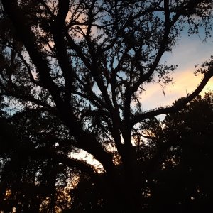 20200930_191619.jpg