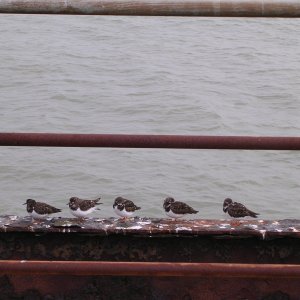 DSCN0444.JPG