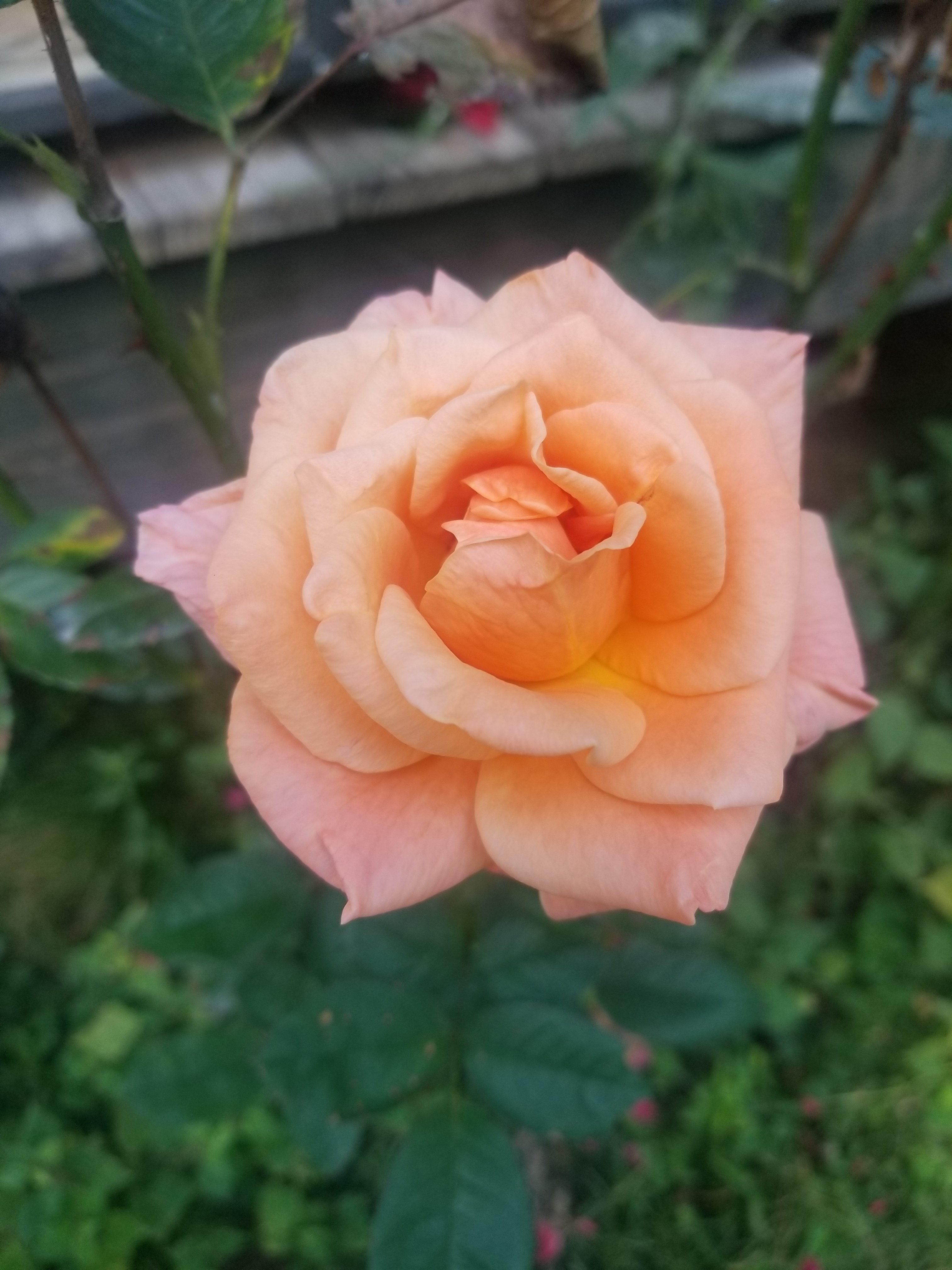 20230928_162304.jpg