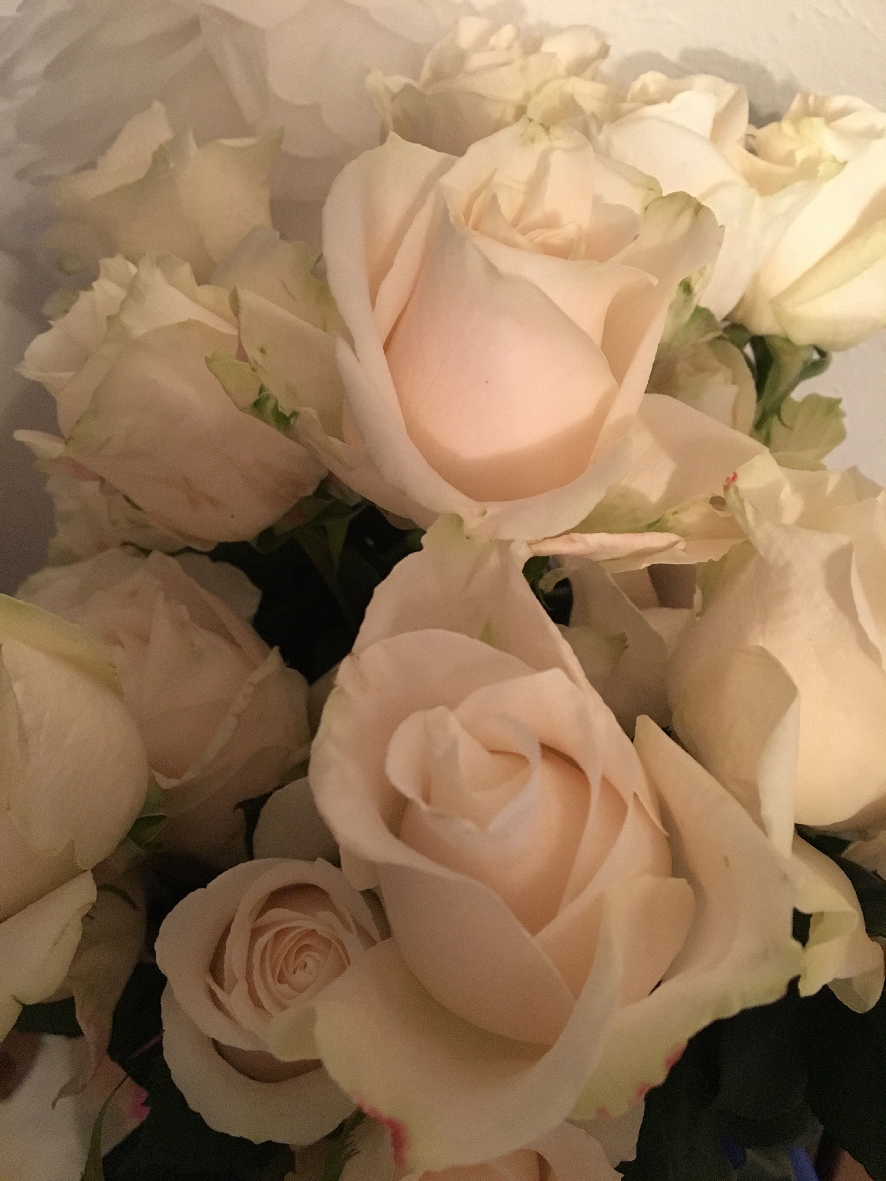 Grandma’s Roses