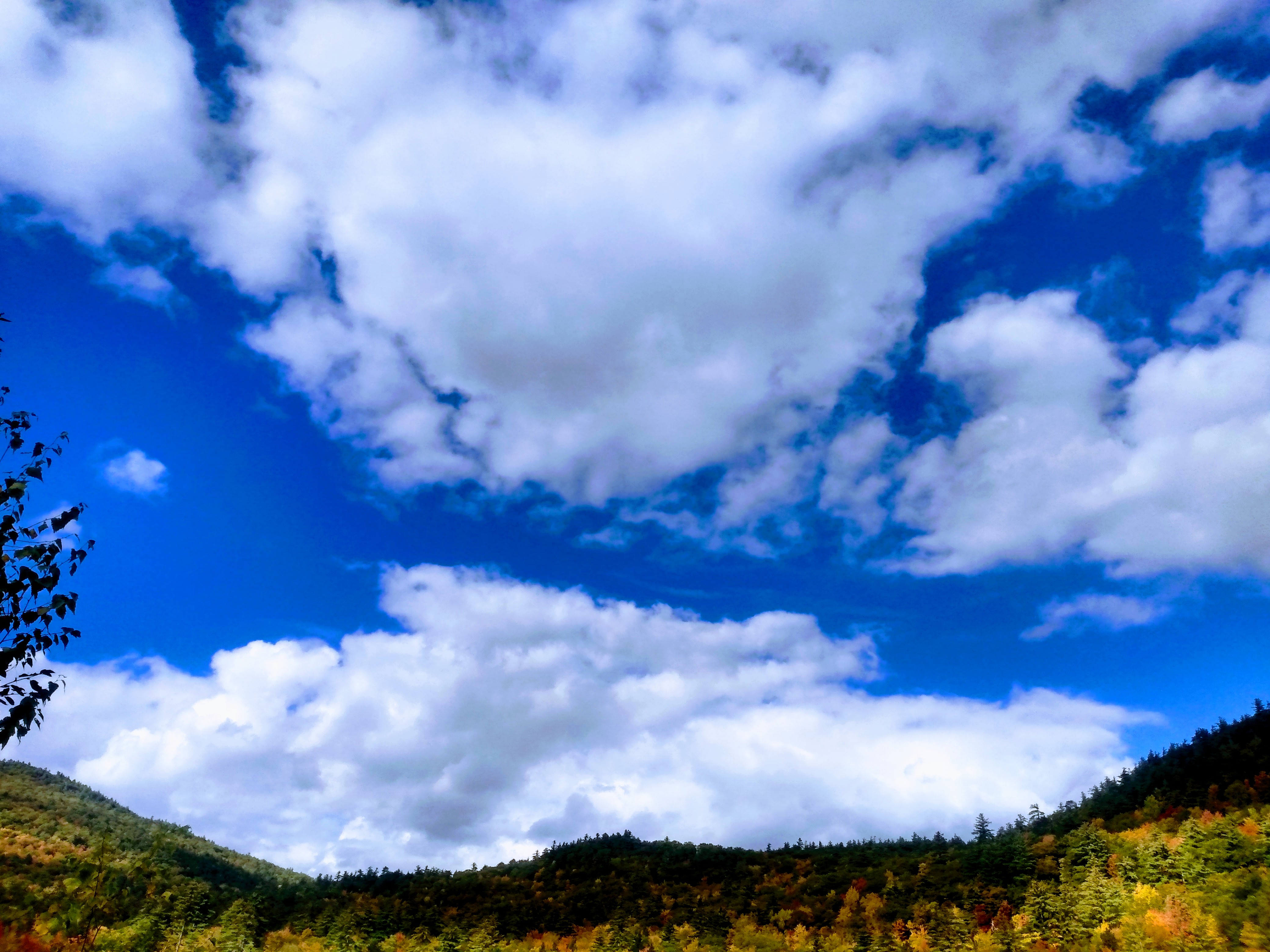 IMG_20231019_142318165_HDR~2.jpg