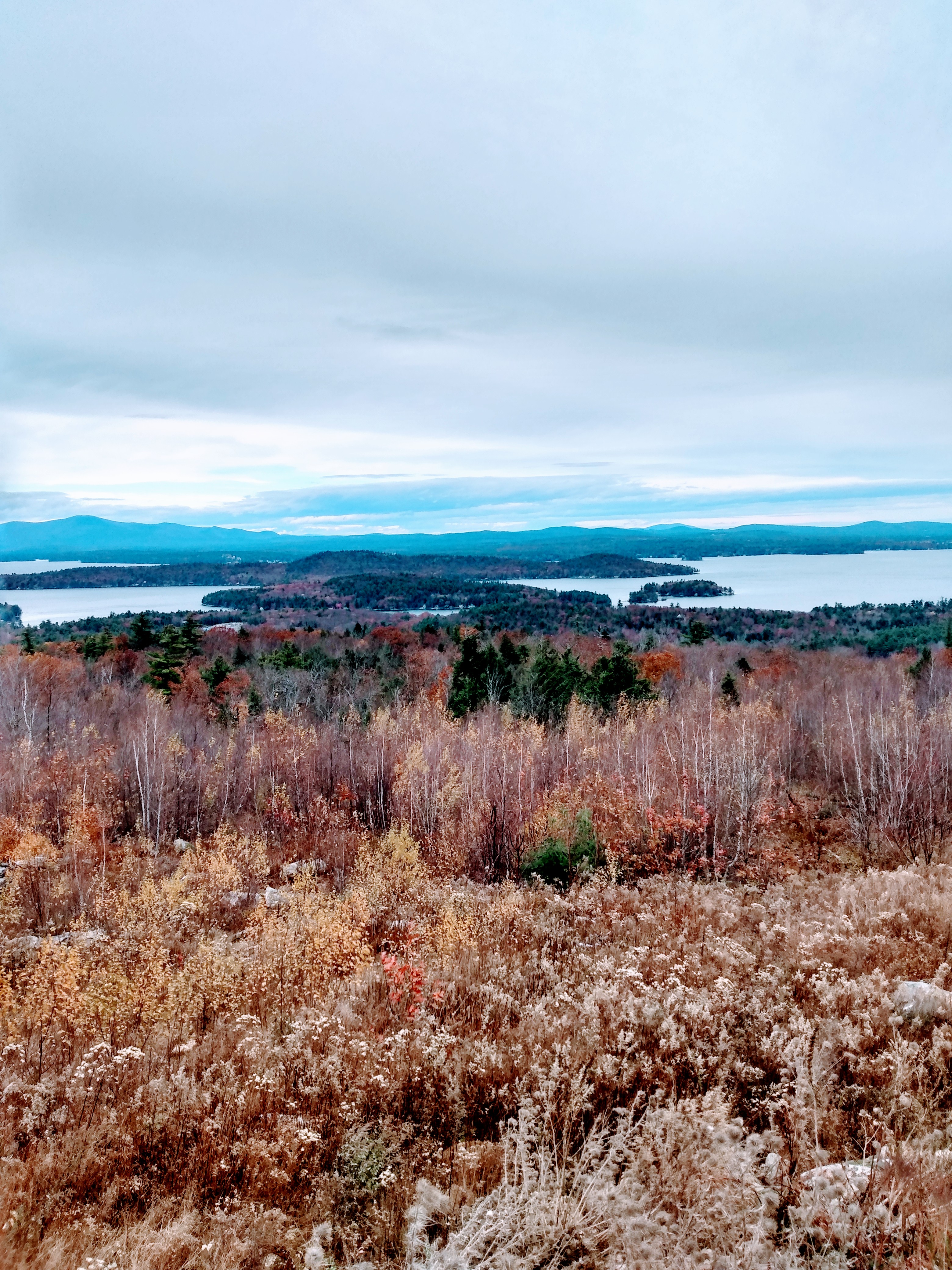 IMG_20231110_120201199_HDR~2.jpg