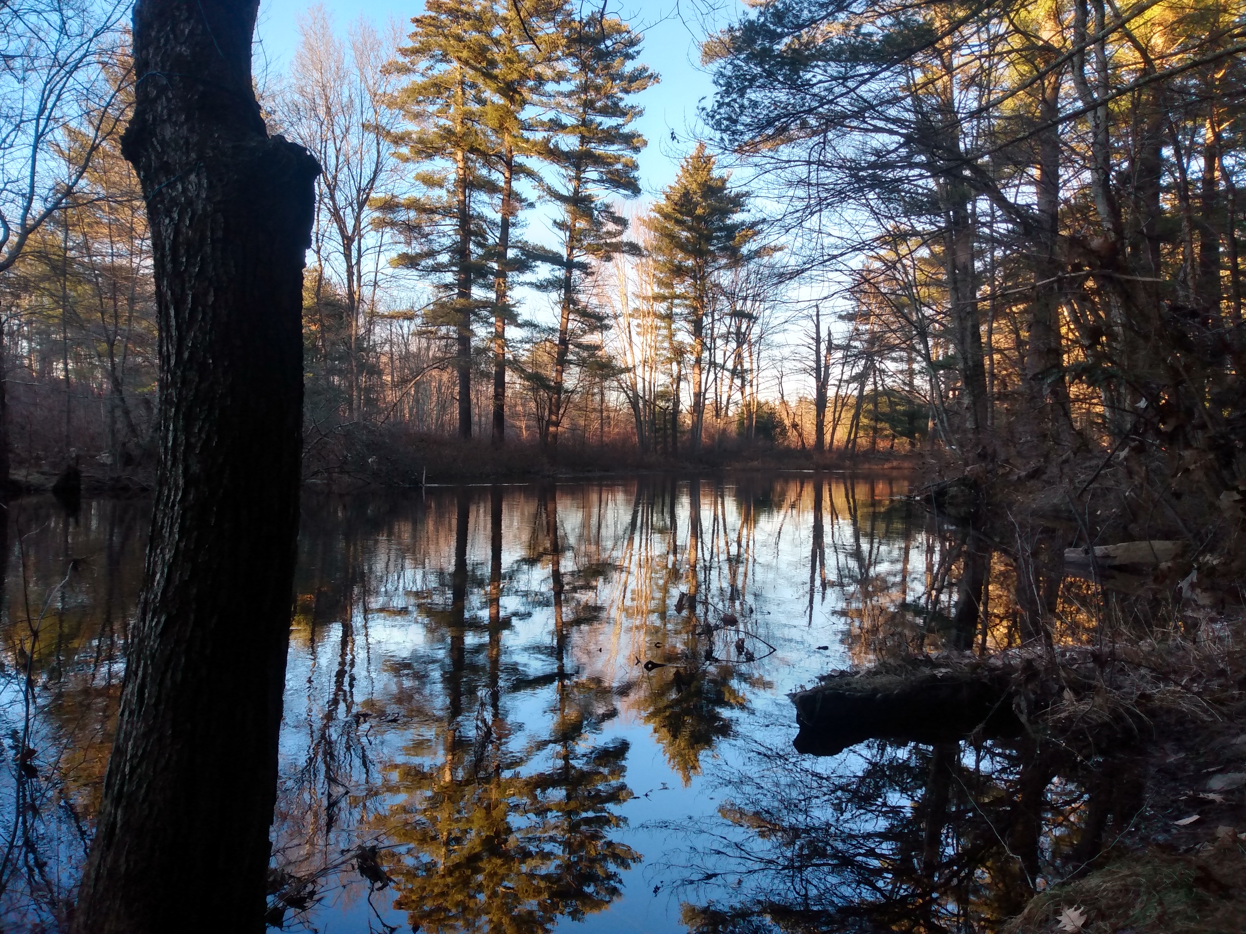 IMG_20240102_152143414_HDR.jpg