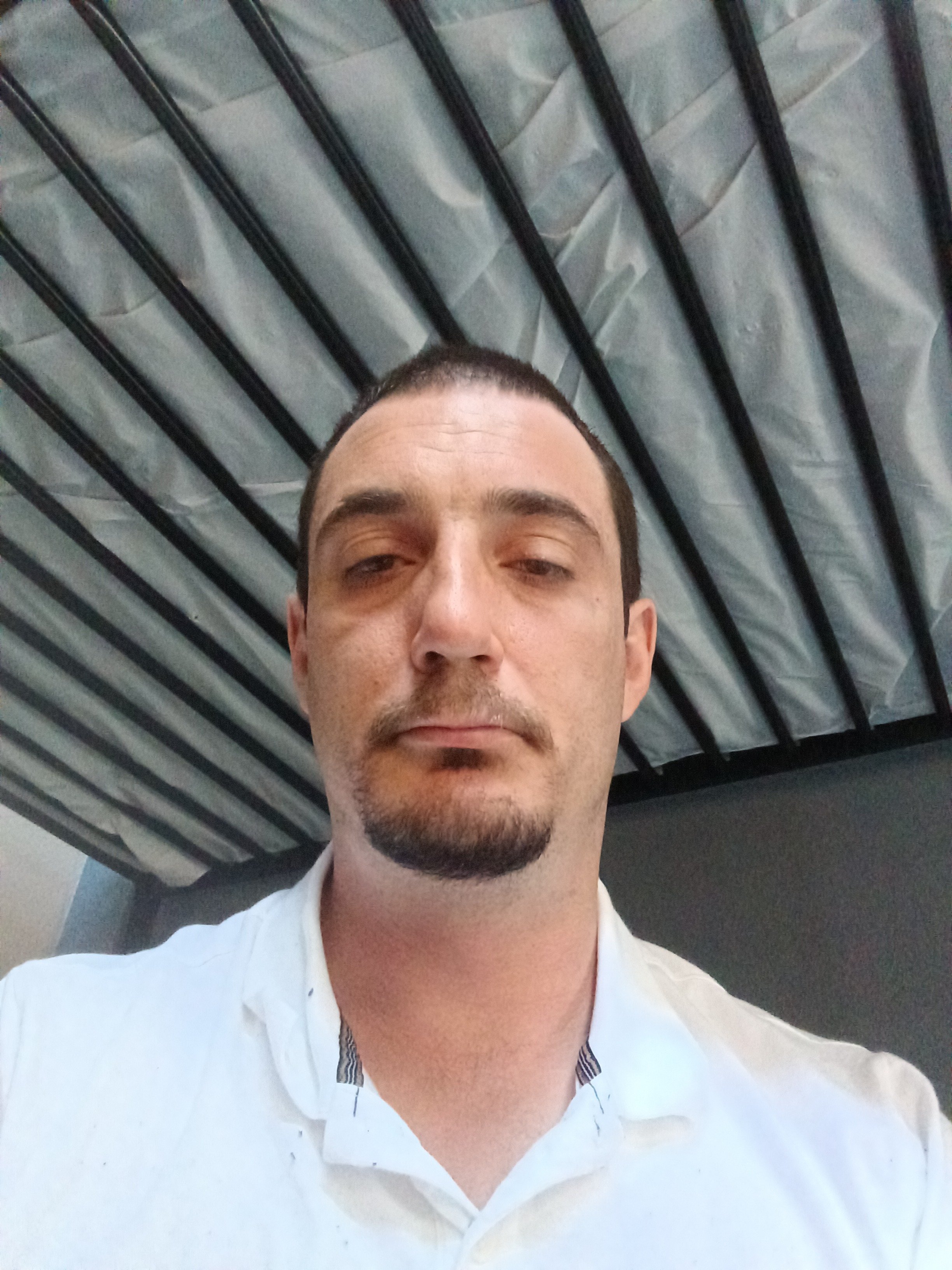 IMG_20260322_135600.jpg
