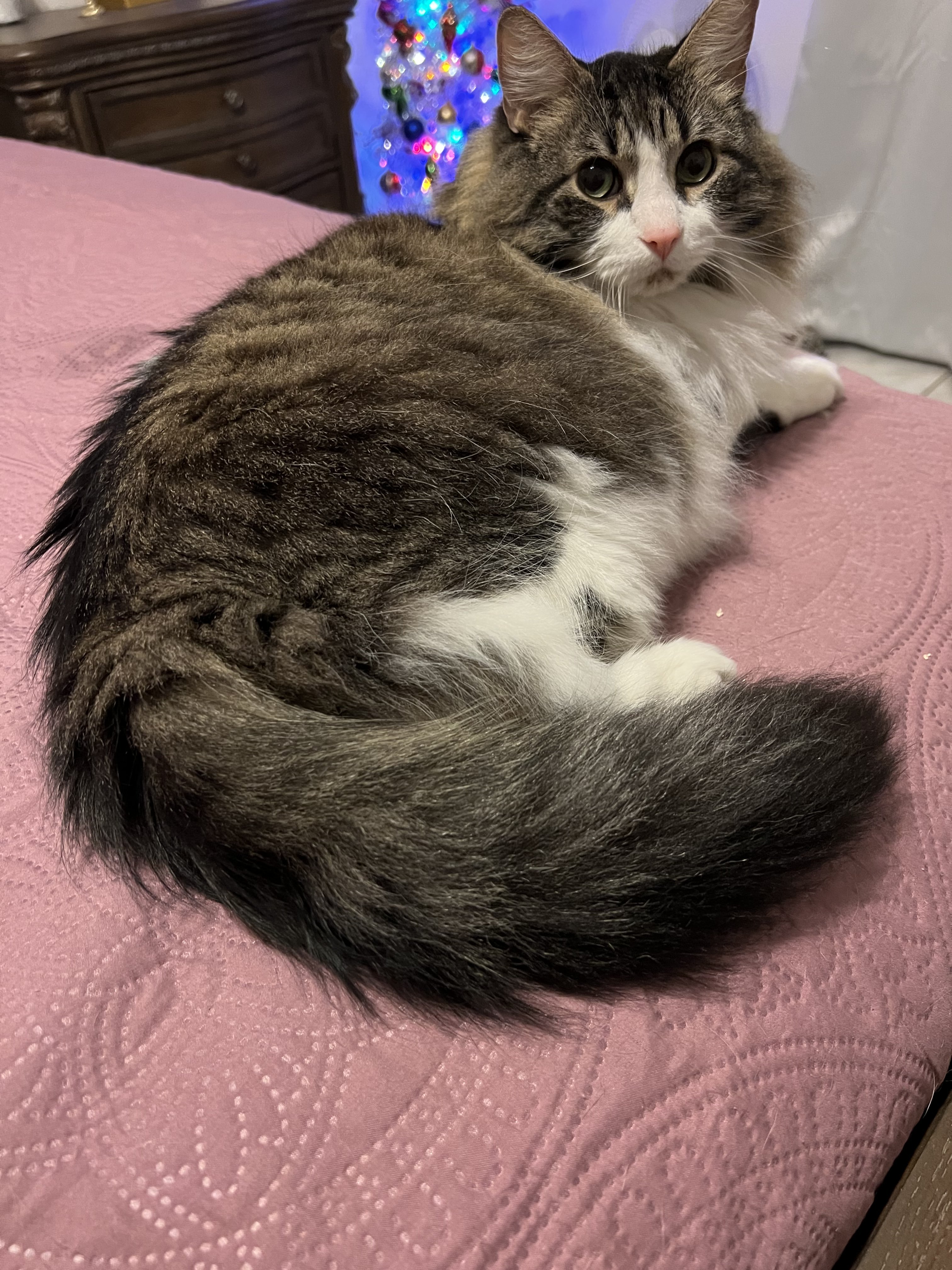 Leo