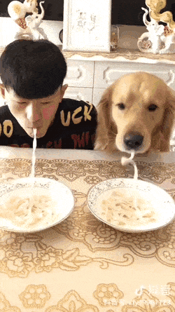 Man VS Dog