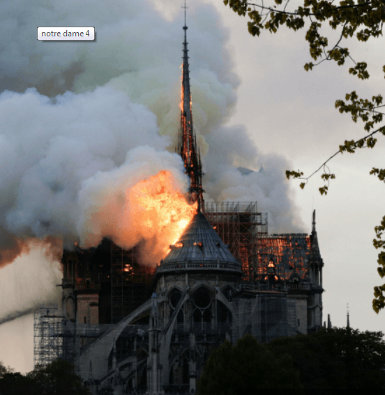 notre dame.PNG