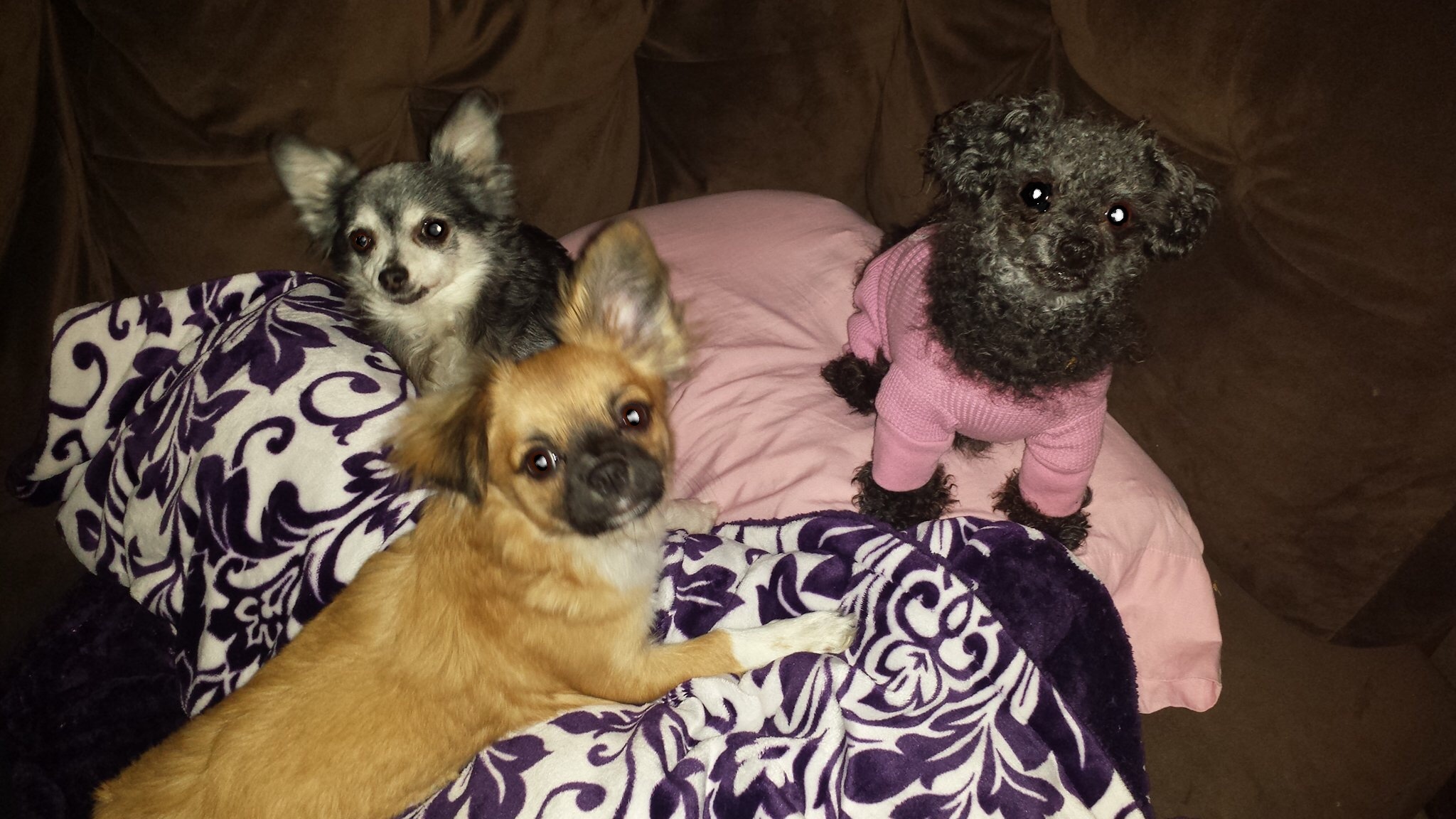 Slumber Party!